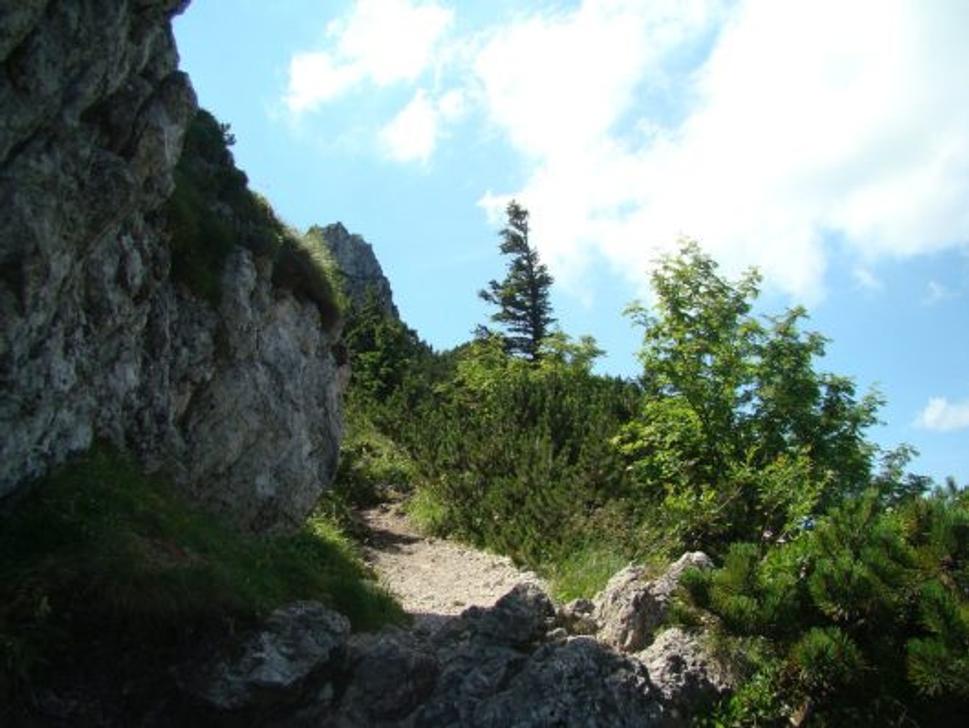 Obrázok blogu