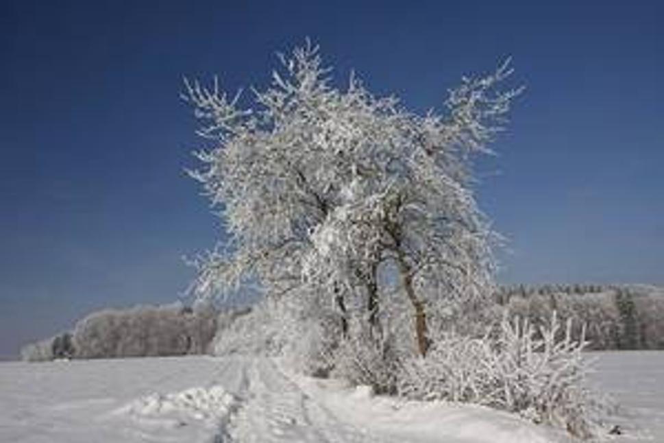 Winterlandschaft (Zimna krajina)
