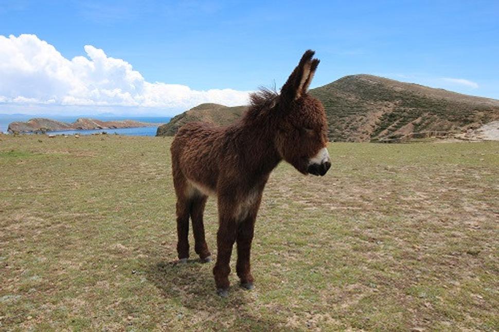 Milá spoločnosť počas celej návštevy Isla del Sol