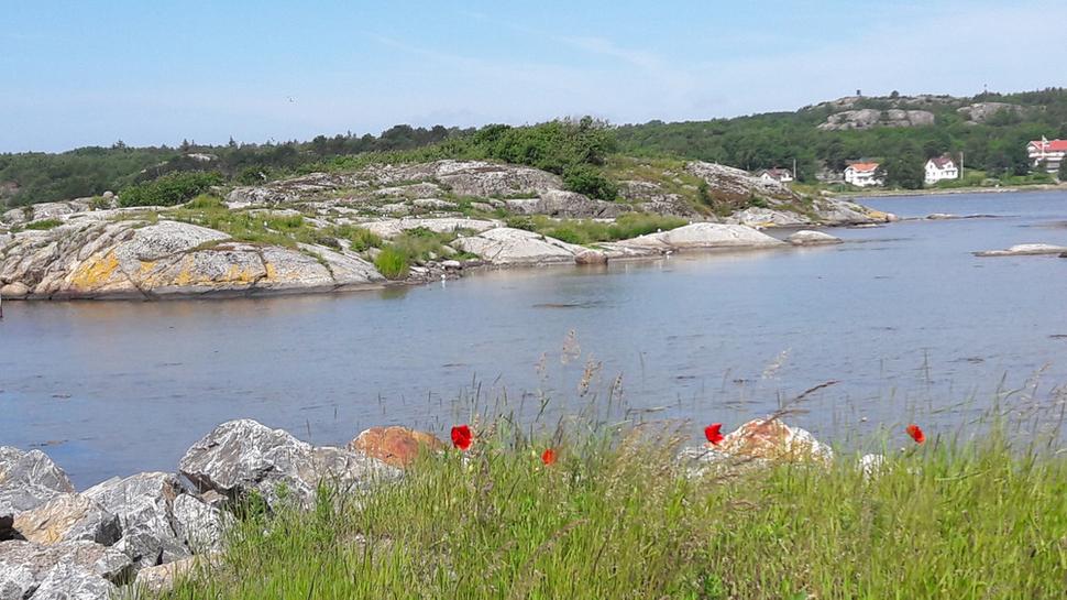 Ostrov Donsö