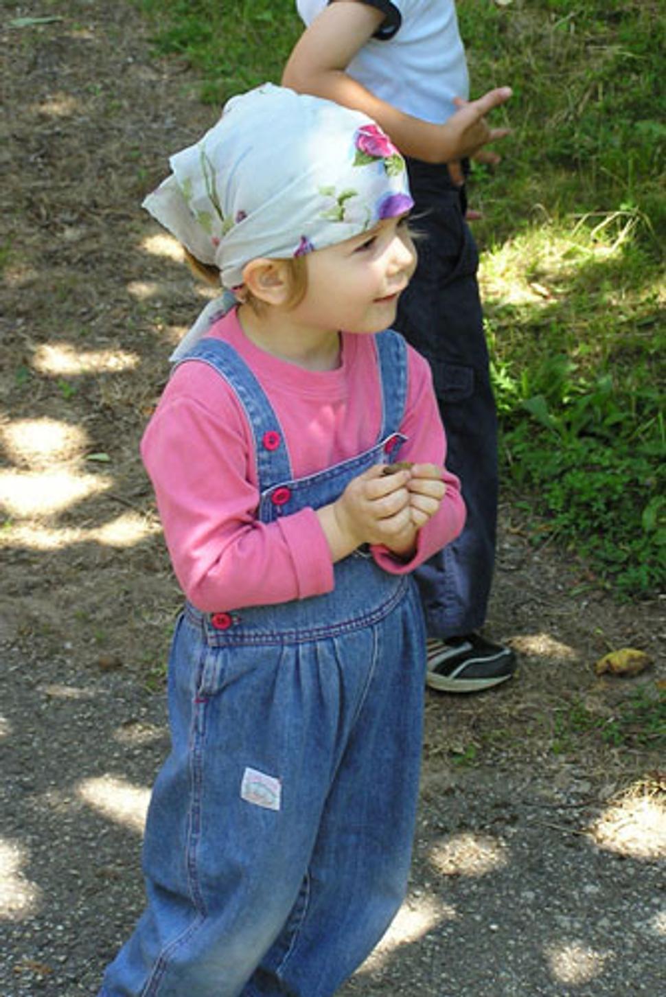 Obrázok blogu