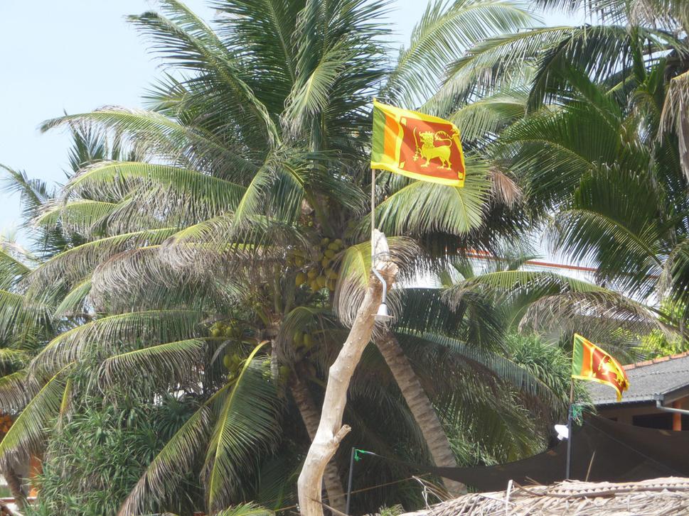 Zbohom Sri Lanka