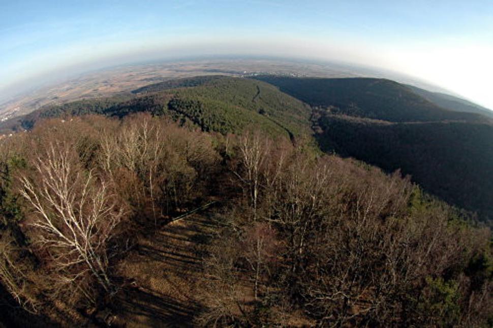 Obrázok blogu