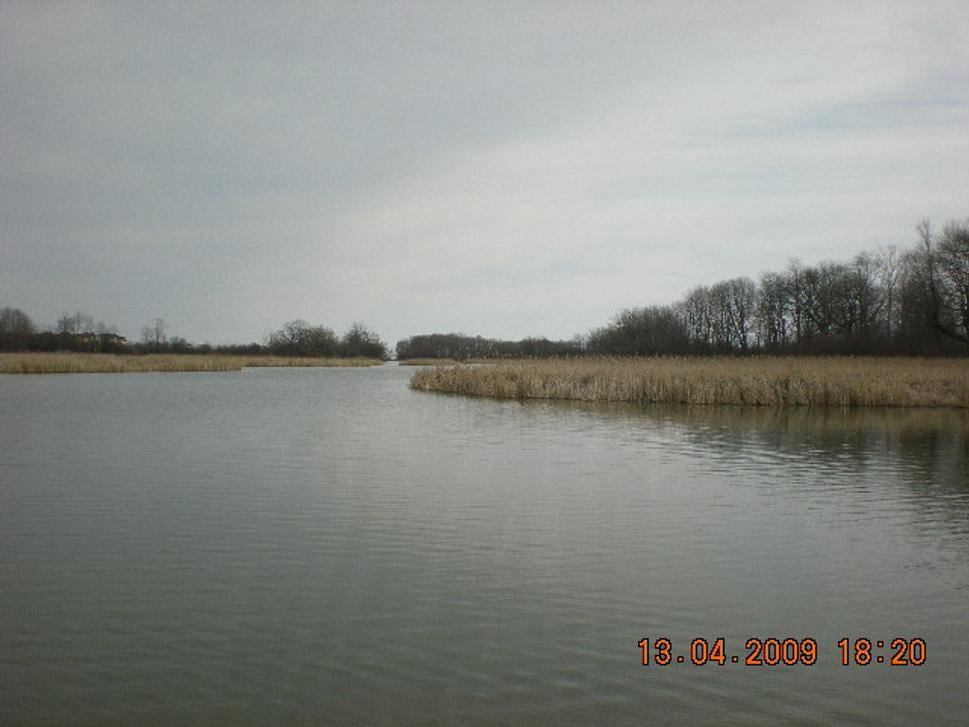 Obrázok blogu
