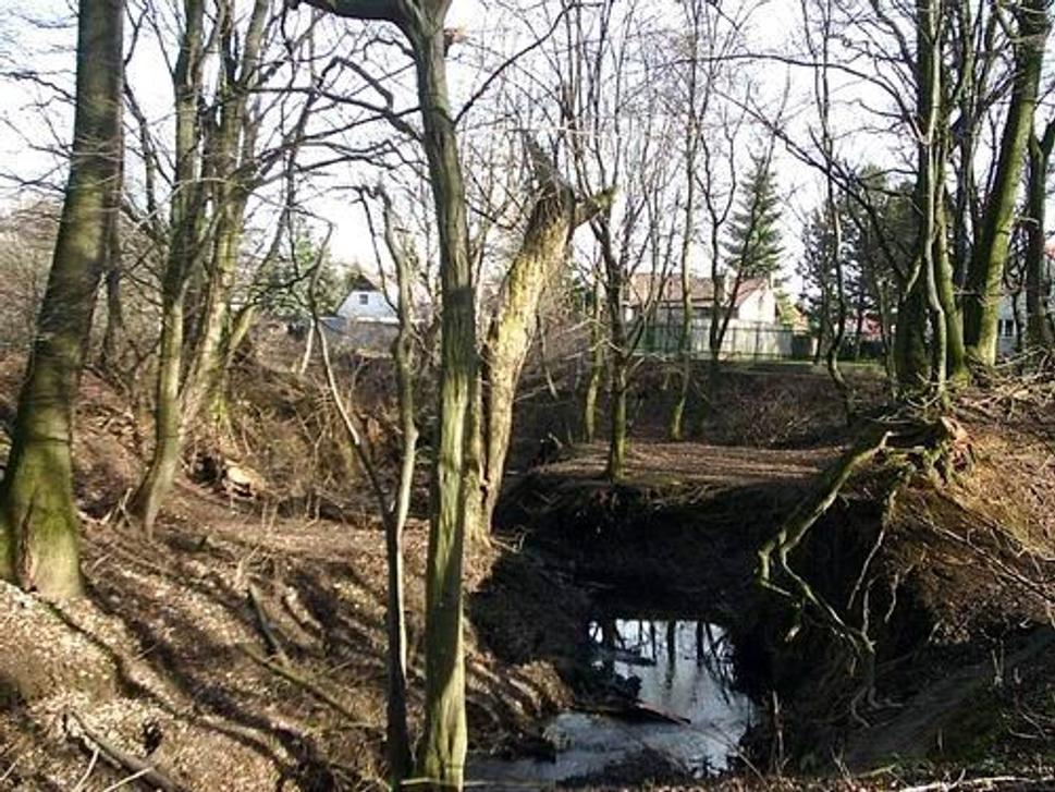 Obrázok blogu