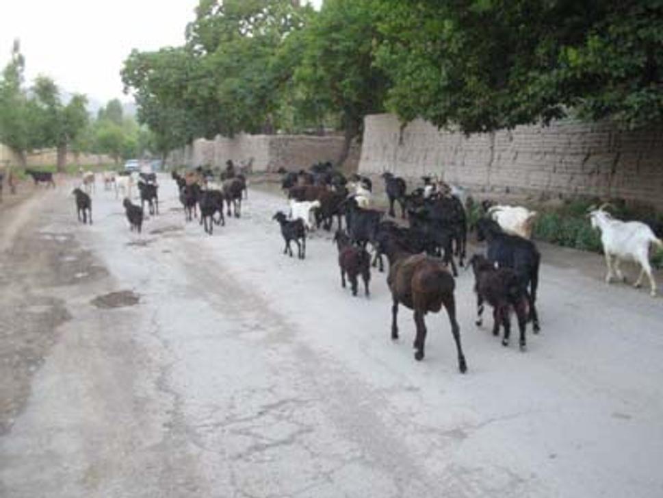 Tajikistan