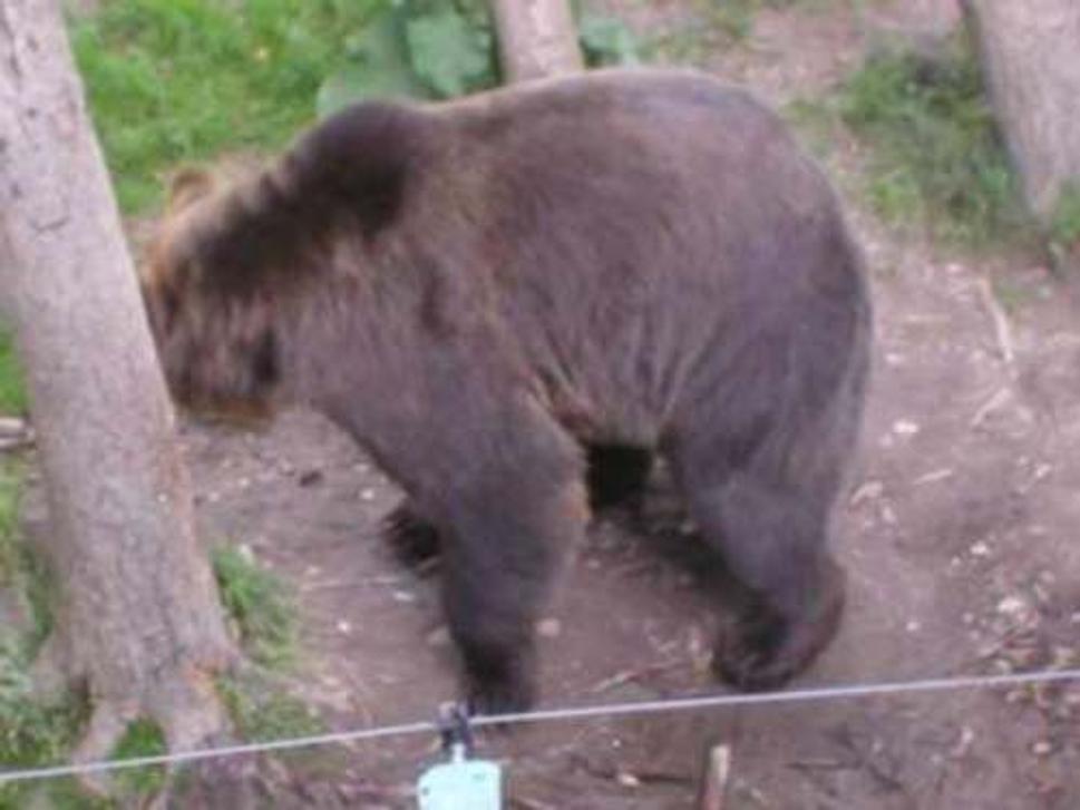 Obrázok blogu