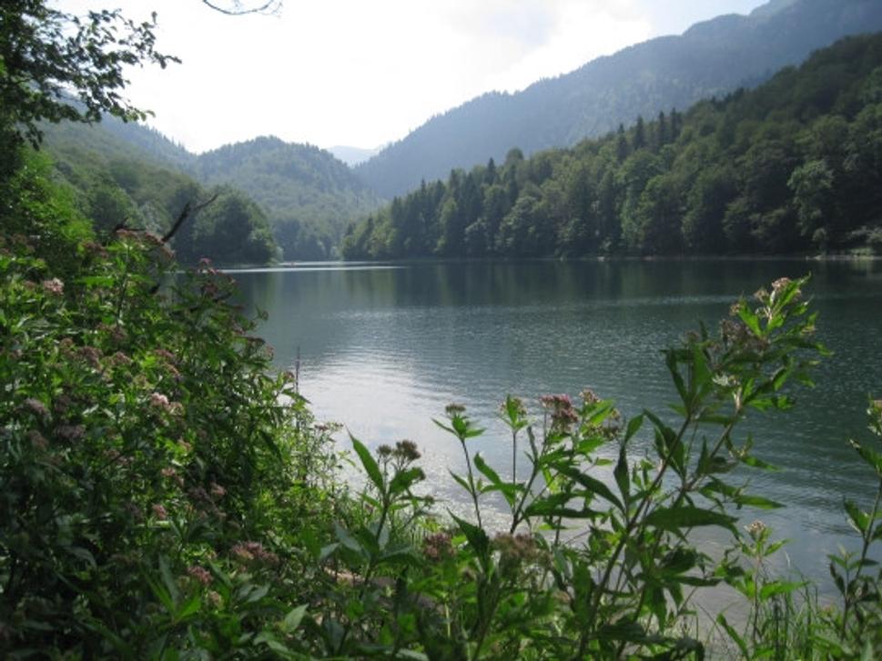 Biogradské jazero