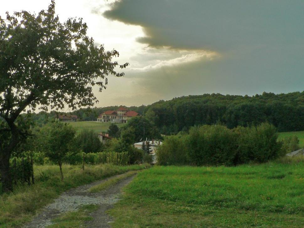 Obrázok blogu