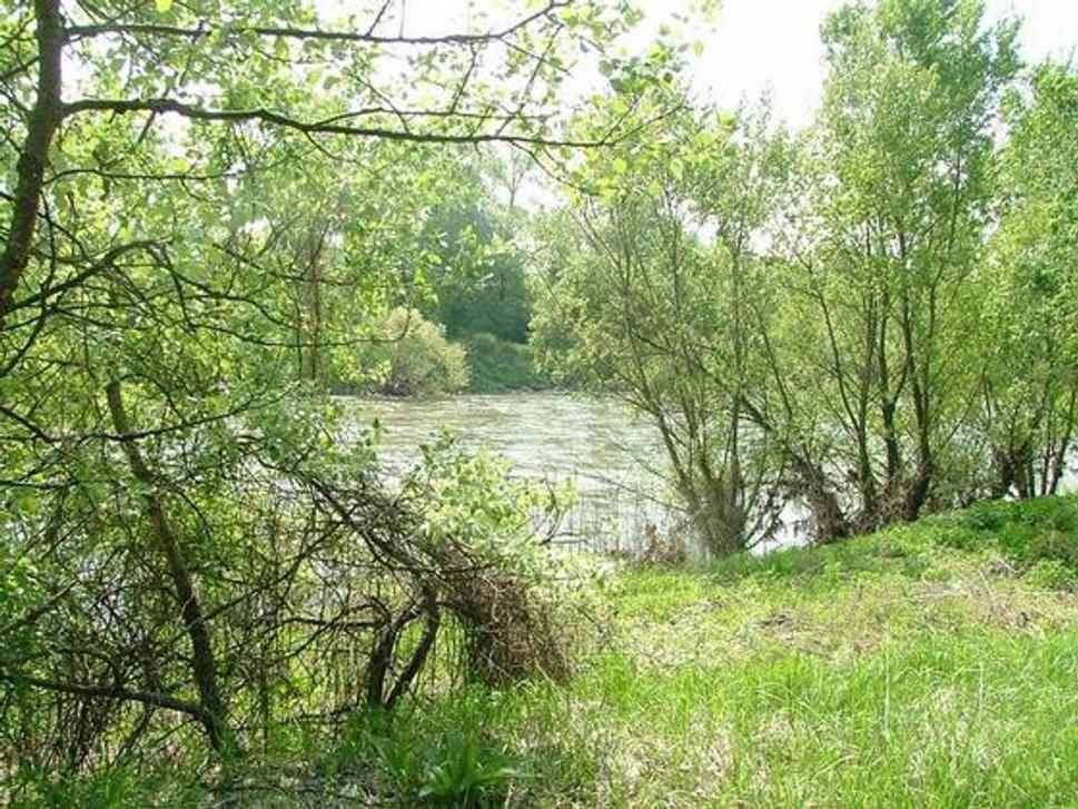 Obrázok blogu