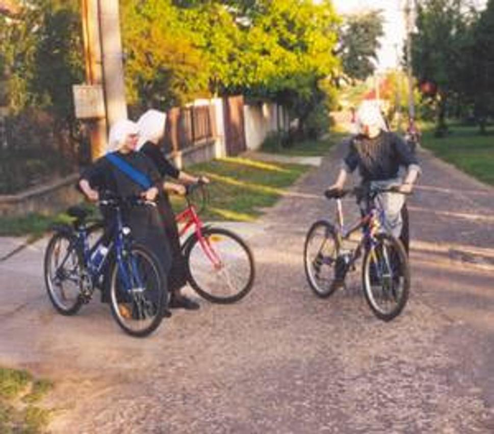 obľúbený šport