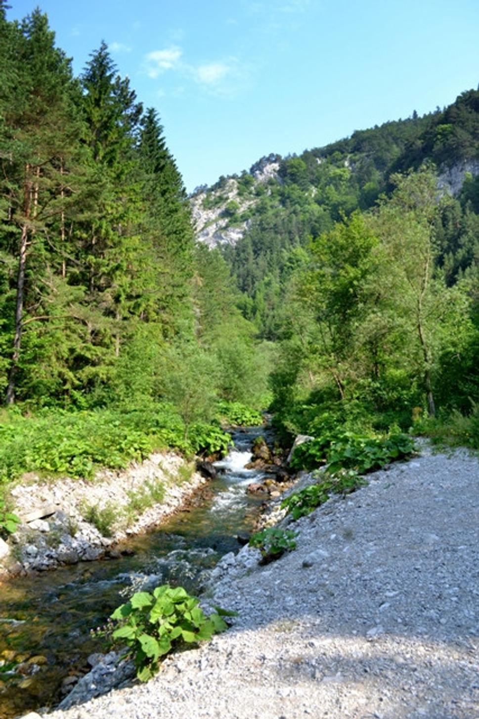 Obrázok blogu