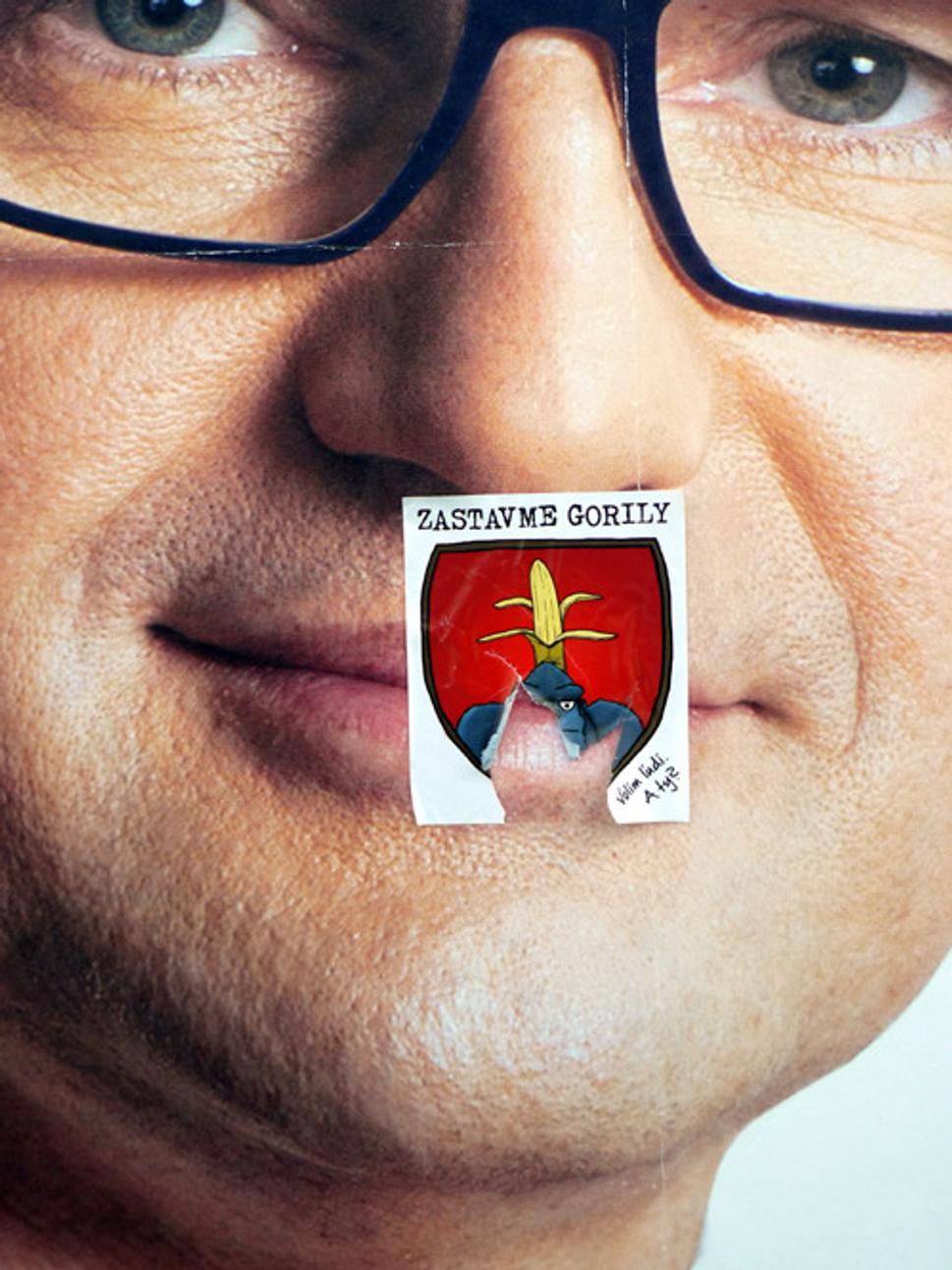 Obrázok blogu