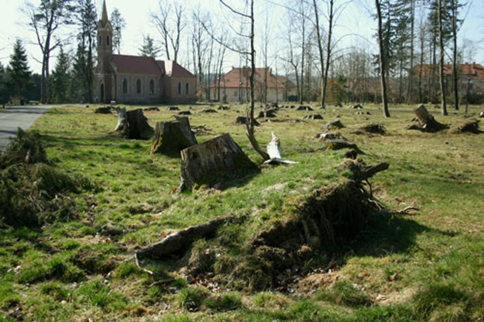 Obrázok blogu