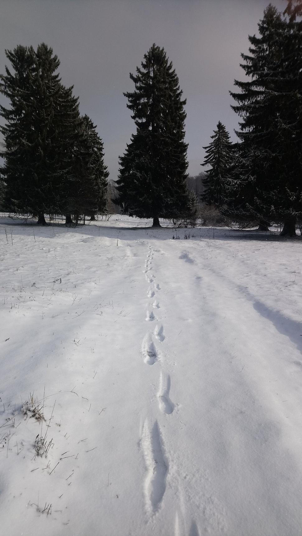 Som tu prvý :)