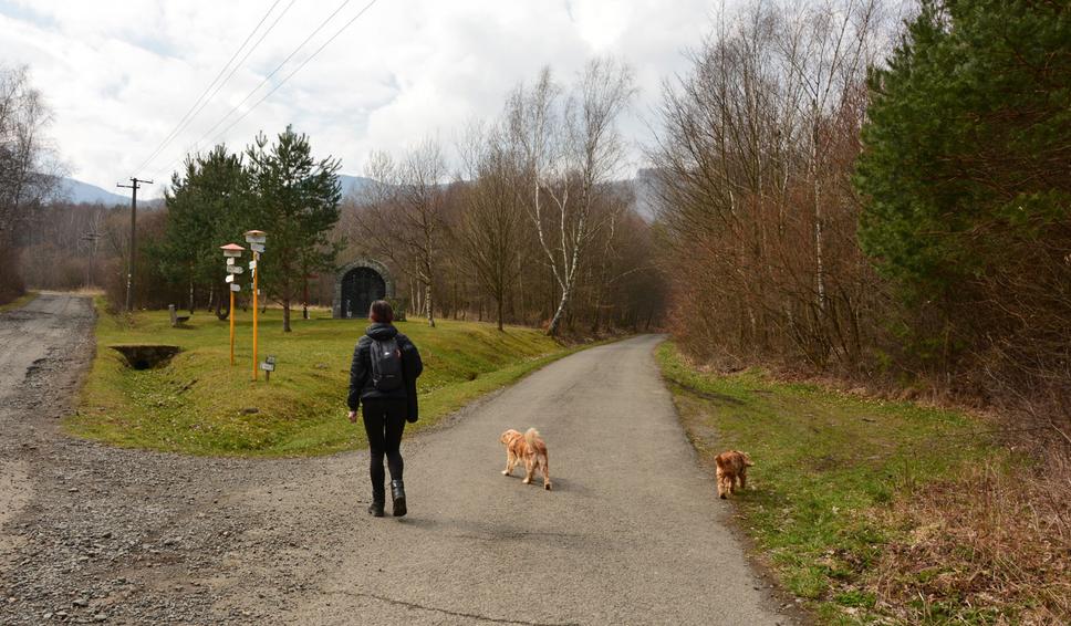 trasa od Hermanoviec nad Topľou