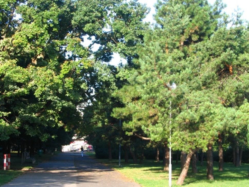 Obrázok blogu