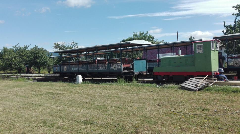 Historický vlak na poľnej železnici.