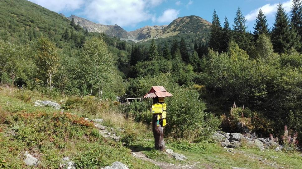 Križovatka turistických trás za Žiarskou chatou.