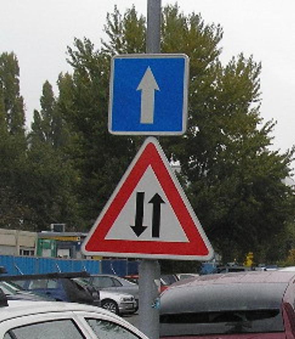 Obr. 1. Unikátna kombinácia D4b a A21.