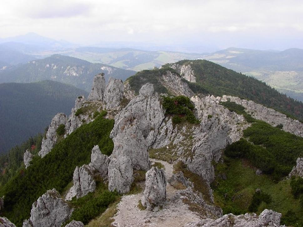 Obrázok blogu