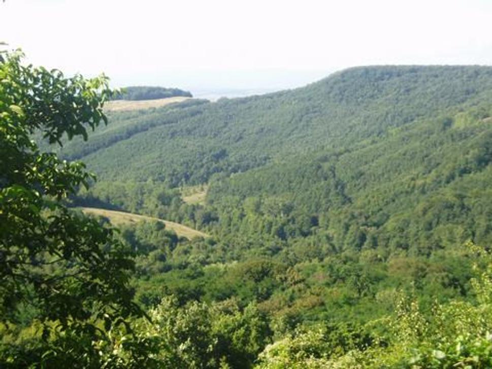 Výhľad