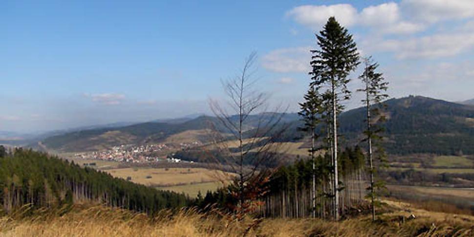 Obrázok blogu