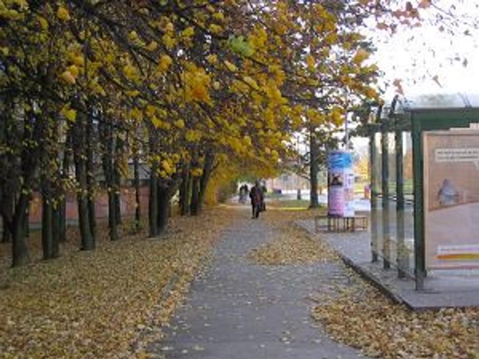 Podzimní Brno