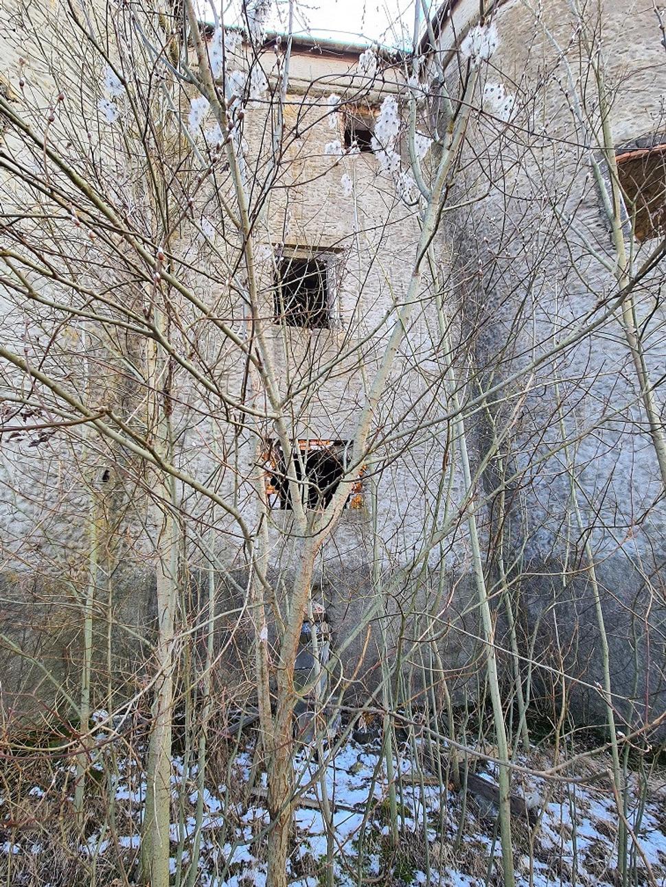 Krovie pred kaštieľom