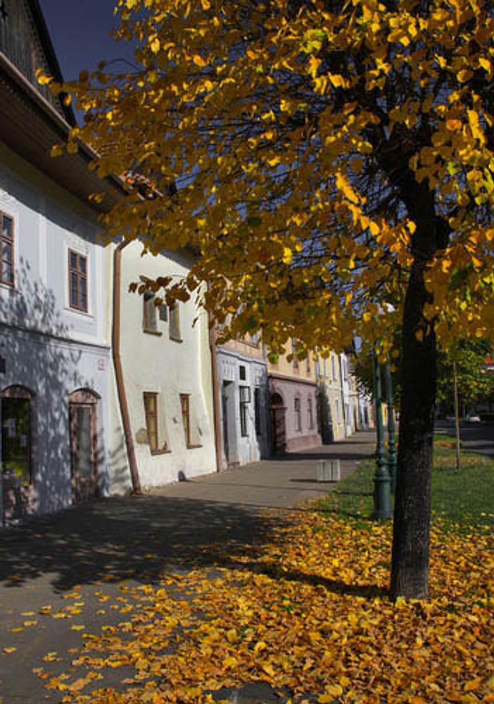 Obrázok blogu