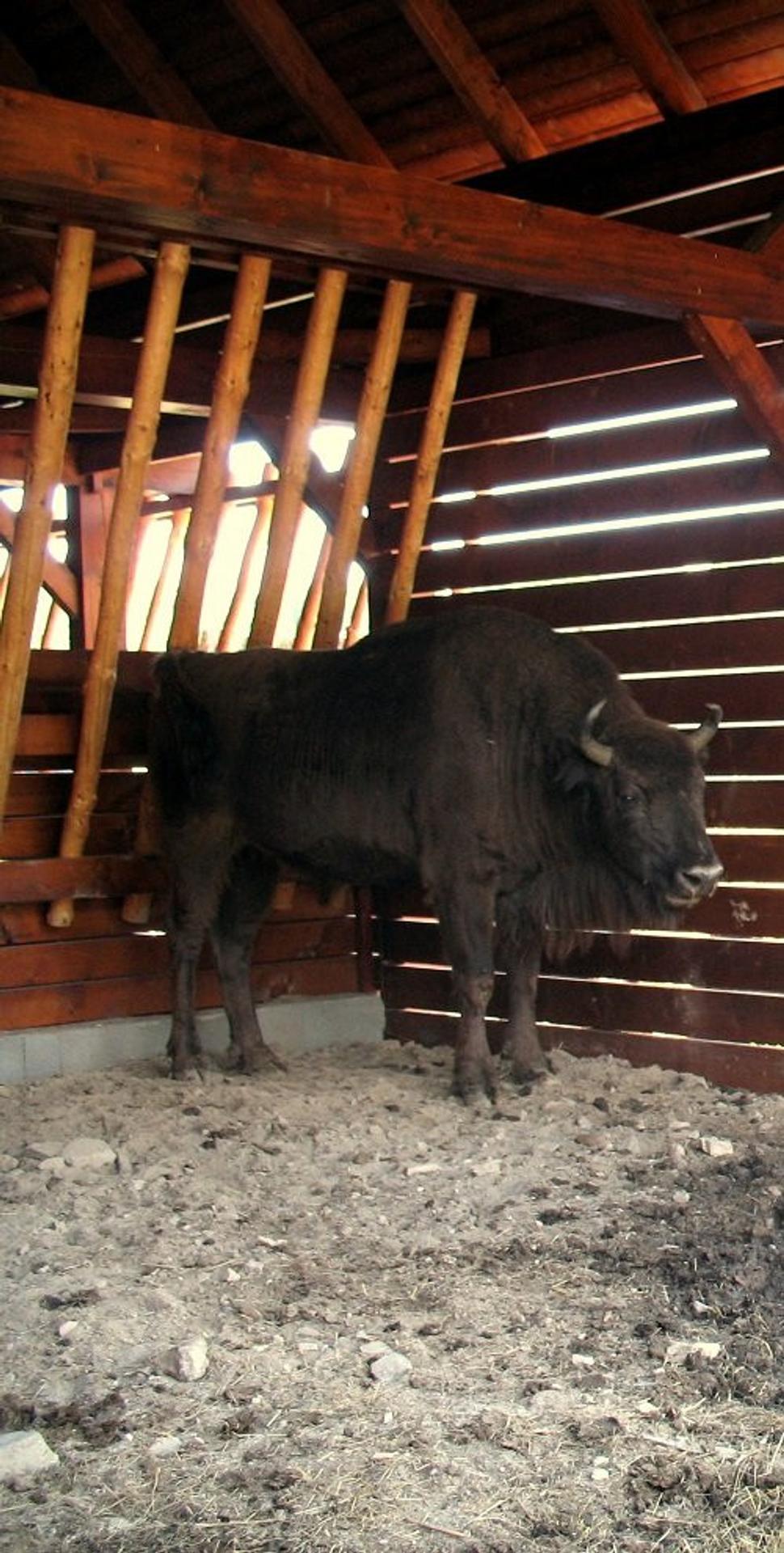 Obrázok blogu