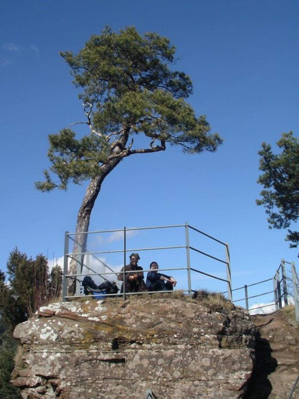 Obrázok blogu