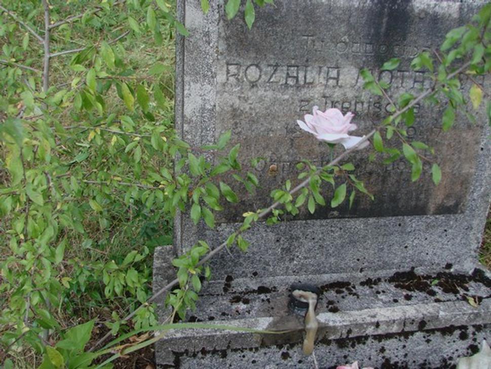 Obrázok blogu
