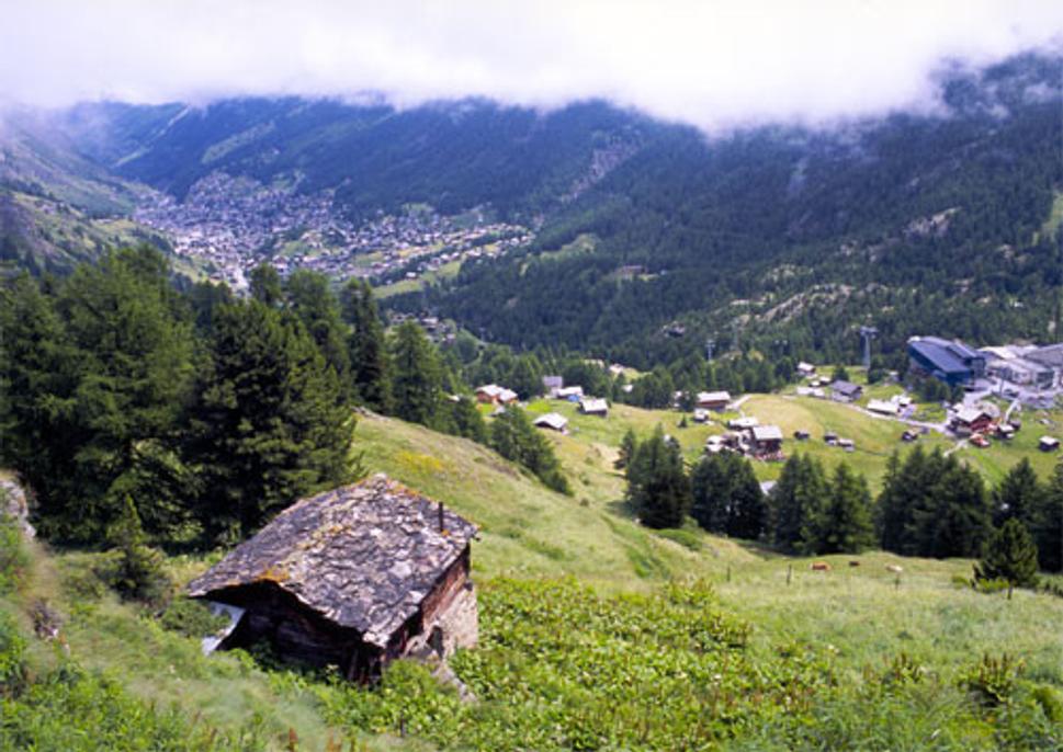 Slecna terasa