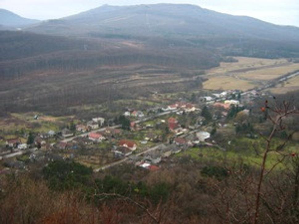 Slanec