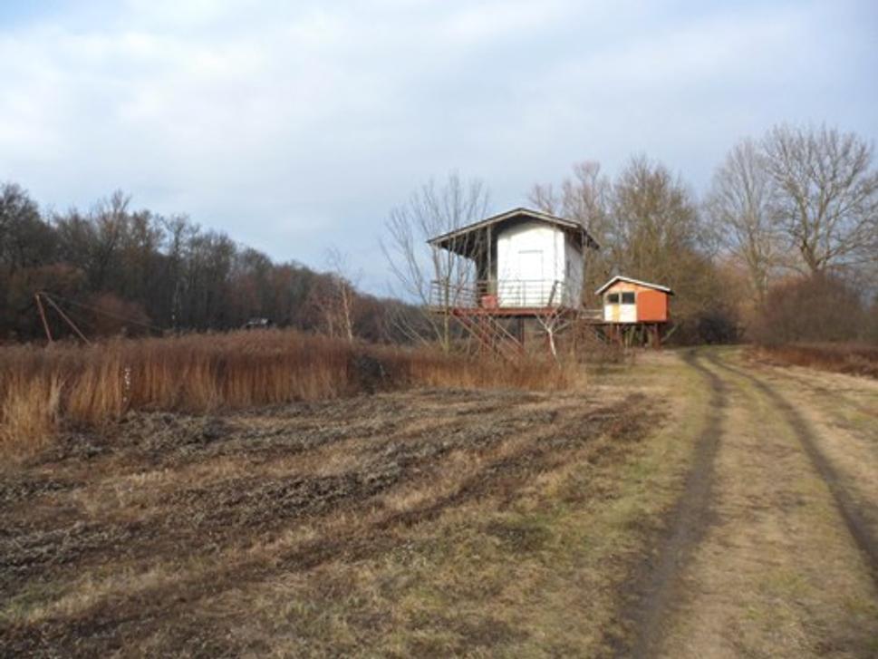 Obrázok blogu