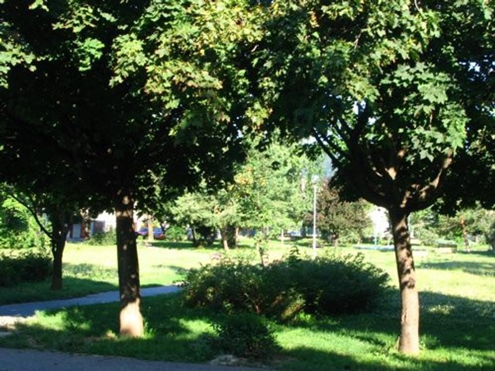Obrázok blogu