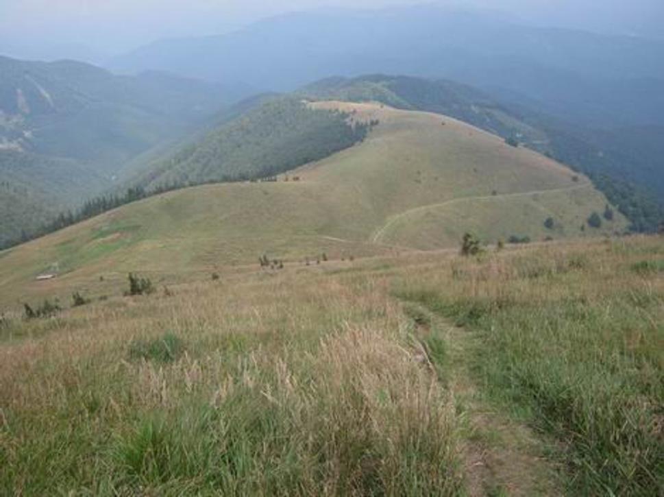 Obrázok blogu