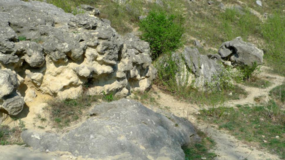 Obrázok blogu