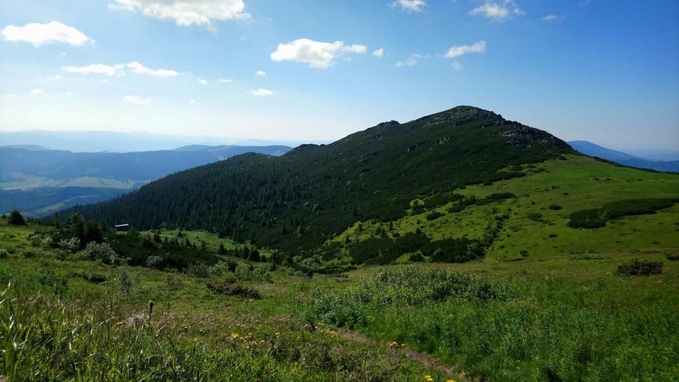 Pohľad na Kráľovu skalu od prameňa Zubrovice
