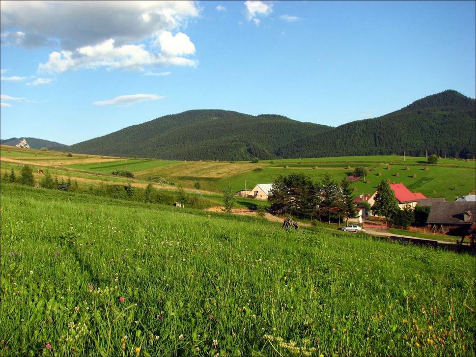 Obrázok blogu