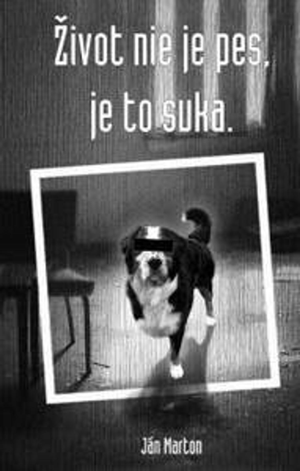Obrázok blogu