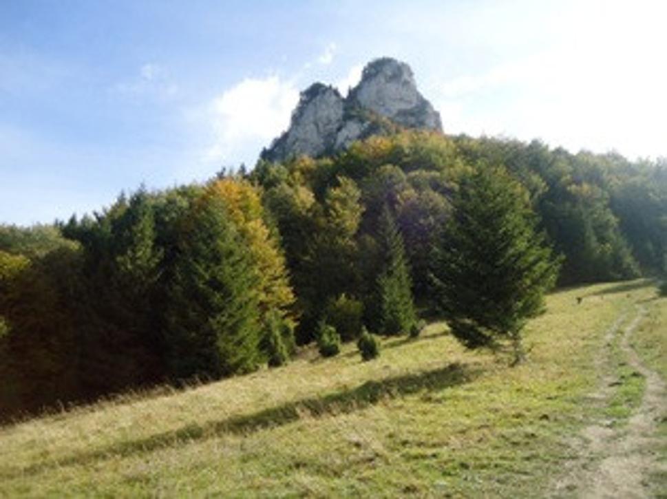 Obrázok blogu