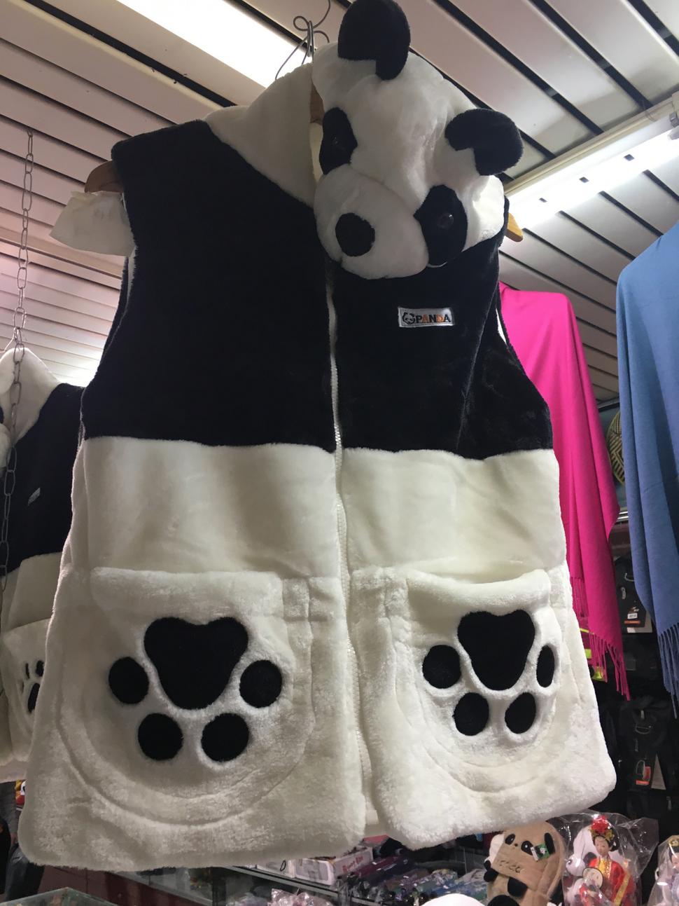 Pandy vraj už nie sú v Číne ohrozeným druhom