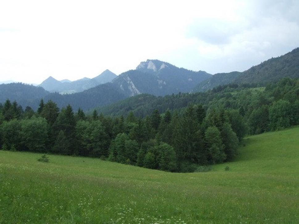 Obrázok blogu
