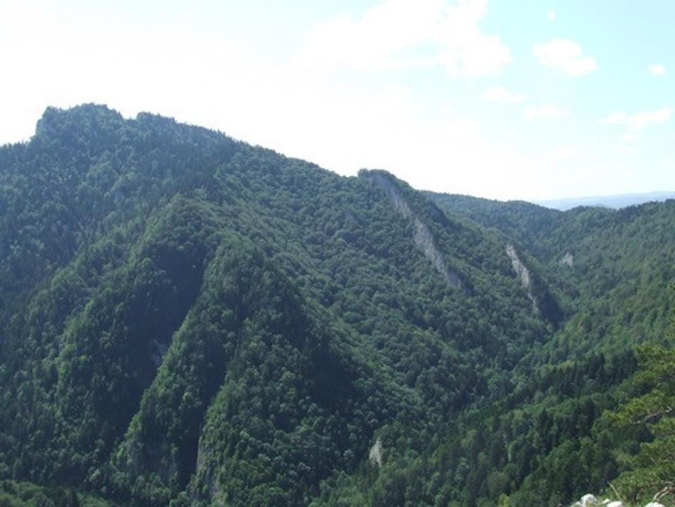 Obrázok blogu