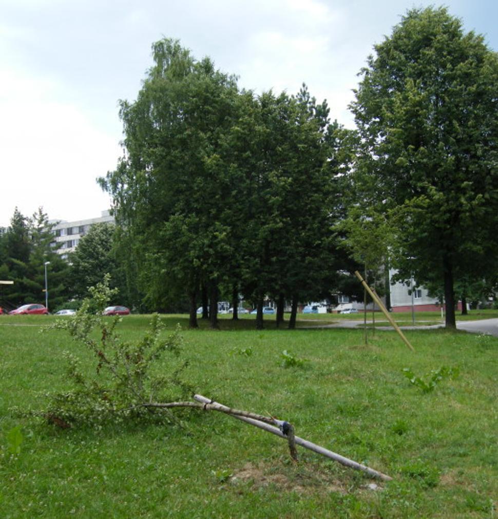 Obrázok blogu