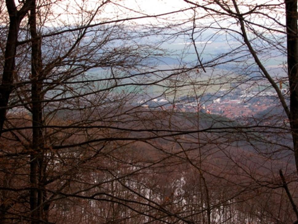 Obrázok blogu