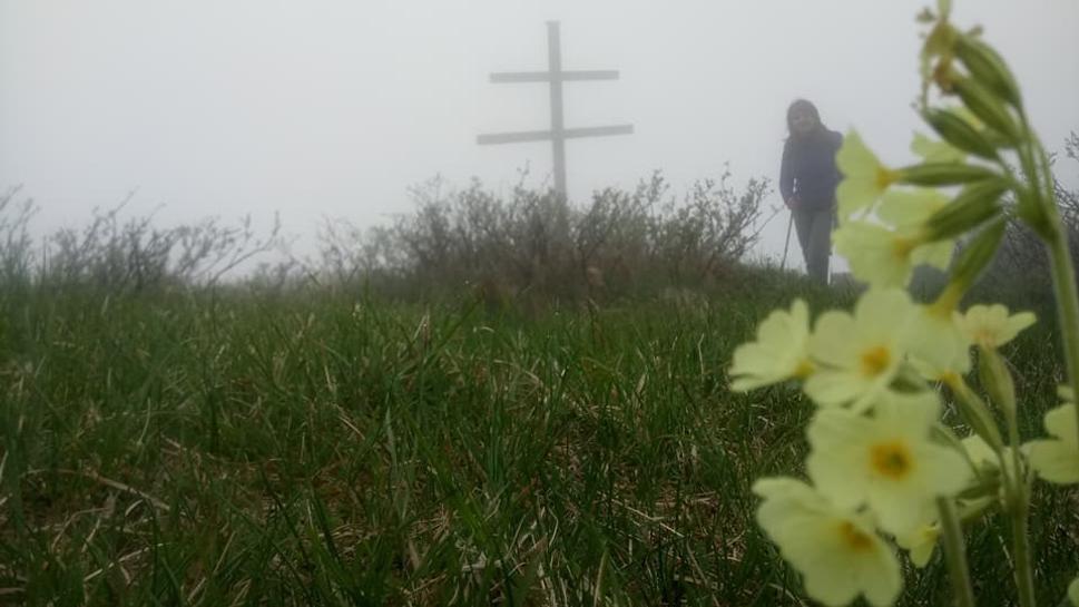 na Strážove