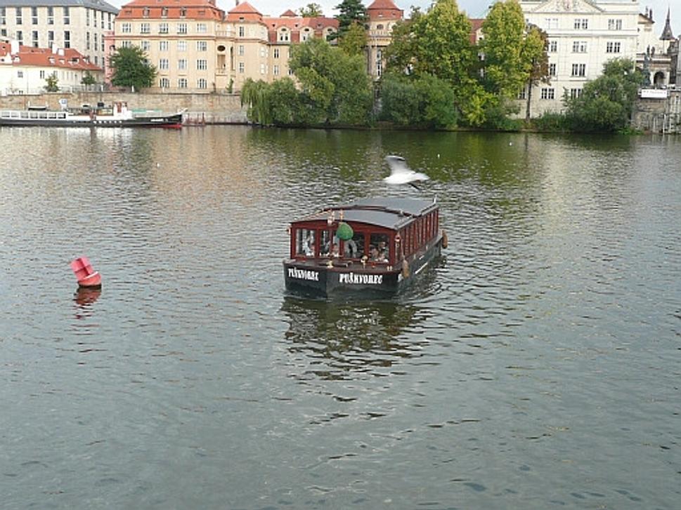 Obrázok blogu